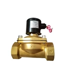 Solenoid valve complete with Timer 4
