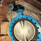 Butterfly valve for water system 2