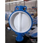 Butterfly valve for water system 3