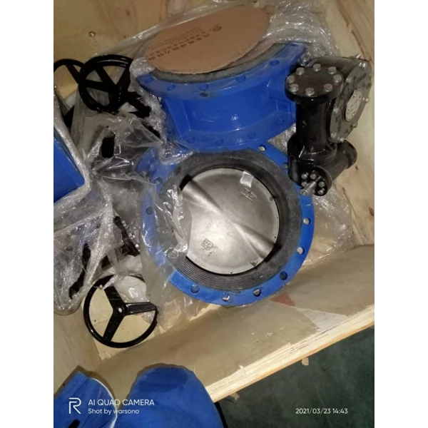 Butterfly valve for water system