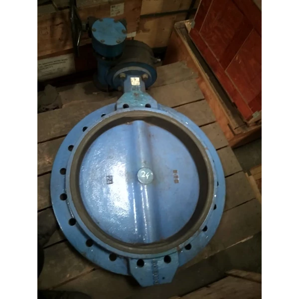 Butterfly valve for water system
